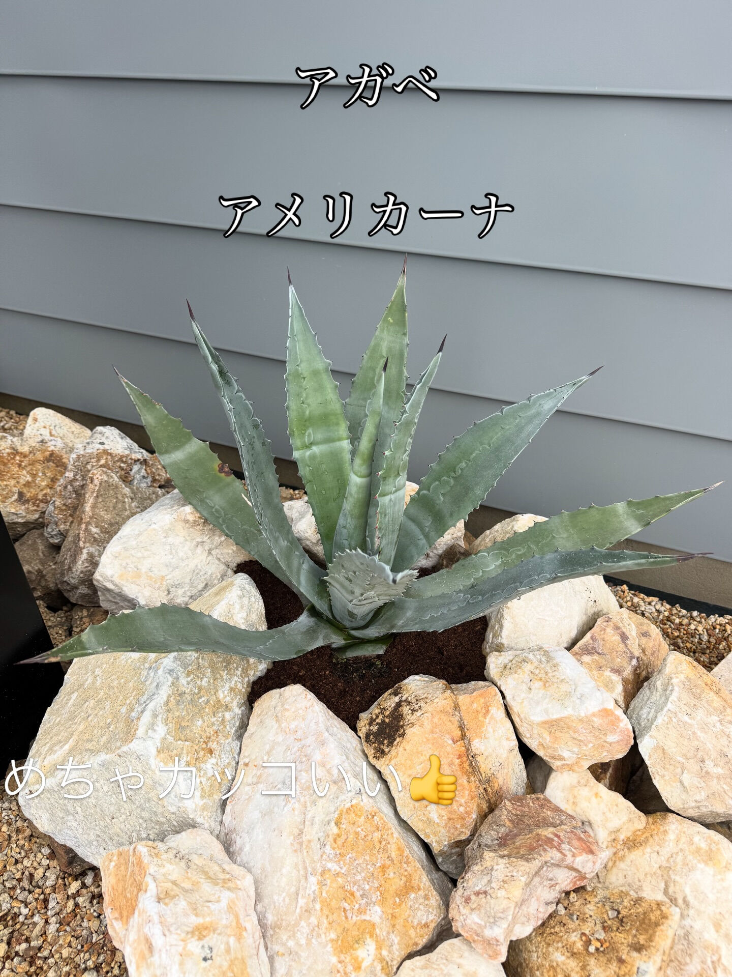 モデルハウスの外まわりが整いました