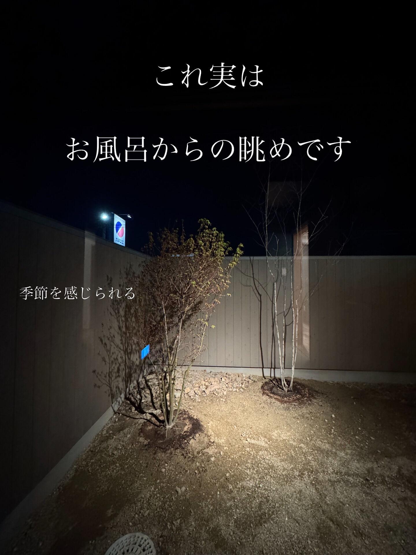 【これ、リノベなの？】